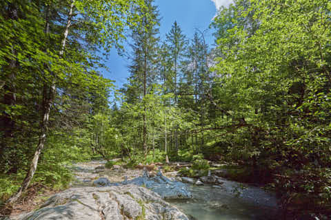 Gemeinde Ramsau Landkreis Berchtesgadener_Land Zauberwald am Hintersee (Dirschl Johann) Deutschland BGL